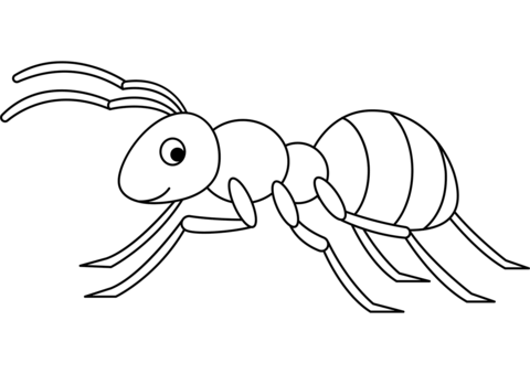 Cute Ant Coloring Page